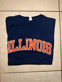 T-shirt Illinois Jerzees
