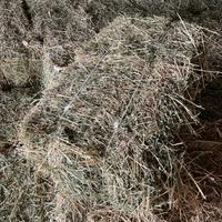 FIENO SECONDO TAGLIO IN BALLETTE