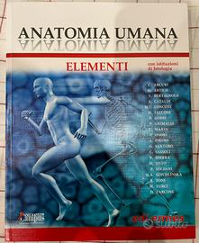 Anatomia Umana Elementi