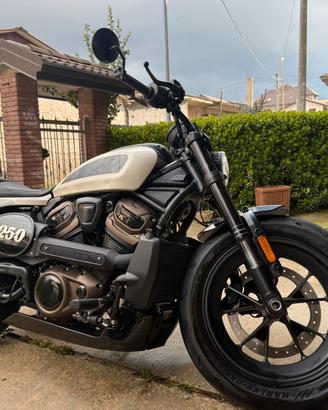 Harley Davidson Sportster 1250 S