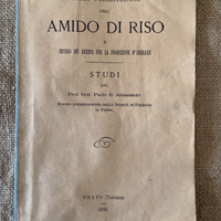 DELLA FABBRICAZIONE DELL' AMIDO DI RISO STUDI Dott