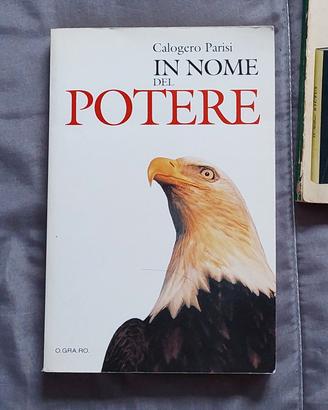 Libro In nome del potere - Calogero Parisi 