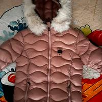 Blauer rosa pelo bianco