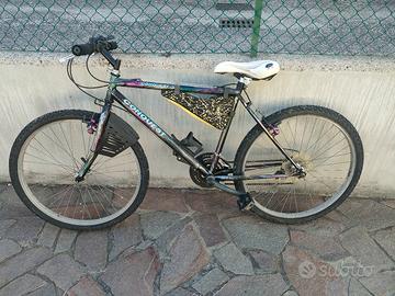 bici ragazzo Mountain bike