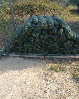 Sacchi di sabbia pallone pressostatico