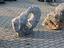 Immagine 28