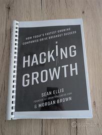 Libro Sean Ellis - Hacking growth EN