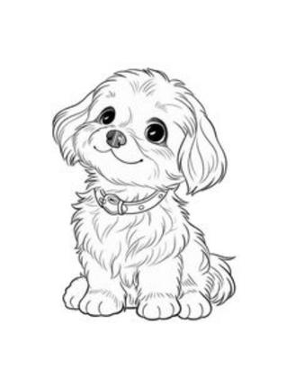 Cucciola meticcio