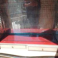 Mobile bar stile cinese