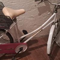 bicicletta donna
