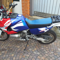 Splendida Africa twin
