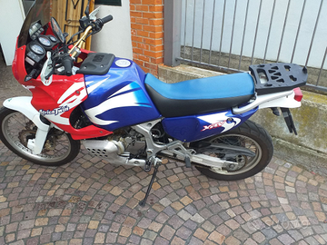 Splendida Africa twin