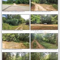 Terreno Agricolo Ferrere [A4342978]