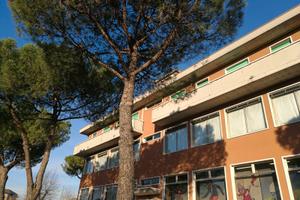 Stanze Singole a Verona