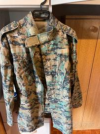 mimetica  marpar woodland