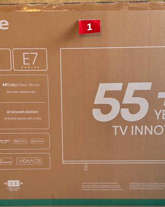 TV 55 pollici HISENSE