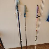 canne da pesca trota lago