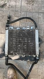 Radiatatore zip sp