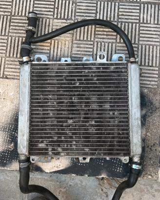 Radiatatore zip sp