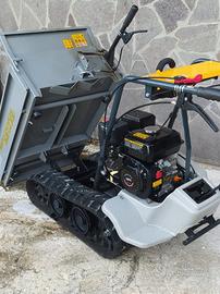 Motocarriola cingolata