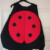 Vestito bimba coccinella tg 2/3 anni