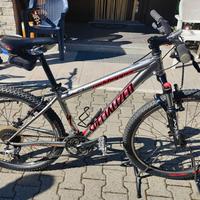 bicicletta Mountain bike uomo 