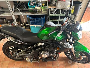 Benelli bn 302 naked A2