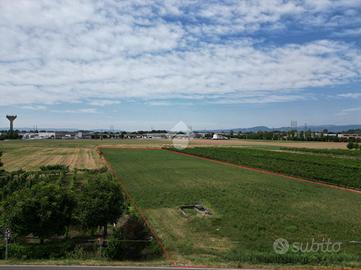 TER. AGRICOLO A SANDRIGO
