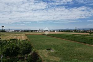 TER. AGRICOLO A SANDRIGO