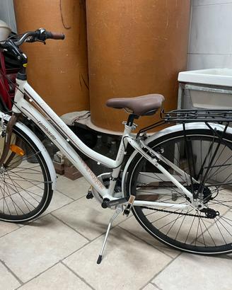 Bici lombardo da passeggio