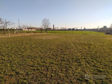 Industriale a Pontecchio Polesine