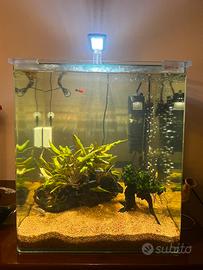 Acquario 60l Amtra cubo