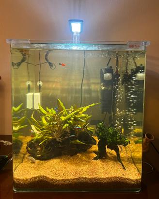 Acquario 60l Amtra cubo