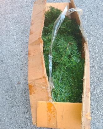 albero di Natale 