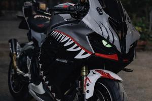QjMotor Srk 800 rr
