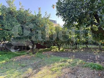 Terreno Agricolo Sant'Egidio del Monte Albino