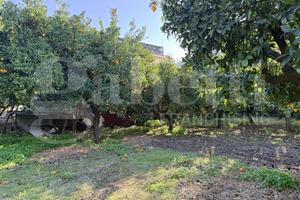 Terreno Agricolo Sant'Egidio del Monte Albino
