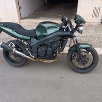 Triumph 600 cilindrata come nuova tenuta maniacalm
