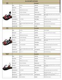 GO-KART  PROFESSIONALI, DRIFT E NOLEGGIO