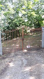 Terreno coltivato ad olivi