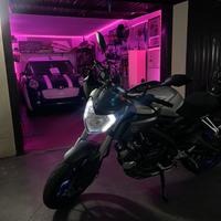 YAMAHA MT 125|SOLI 9900km