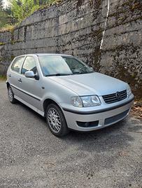 Polo 6n2