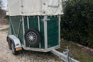 Trailer porelli Ranger3