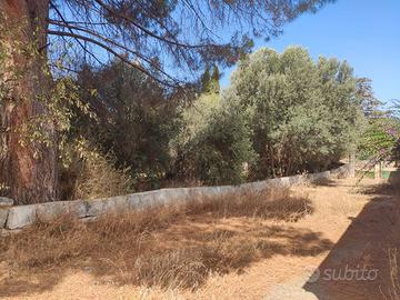 Rudere con terreno edificabile