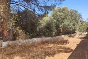 Rudere con terreno edificabile