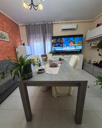 Set Tavolo moderno con 4 sedie abbinate