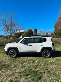 Jeep renegade 2.0 4x4