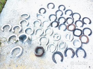 Ferri cavalli Trottatori 