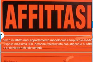 Bilocale  vicinanza  Campus biomedico Roma