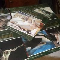 Enciclopedia degli animali